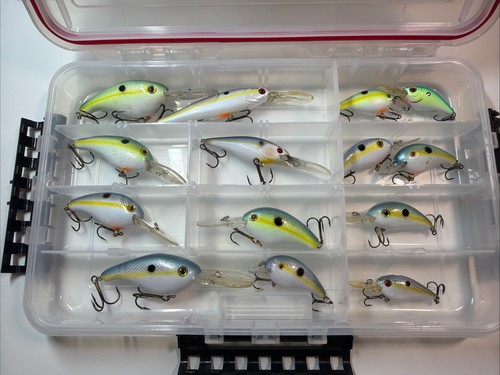 14pc shad crankbait - 14pc,