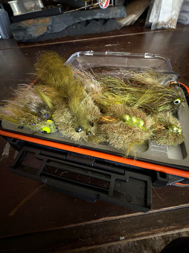 Fly fishing streamers - fly,