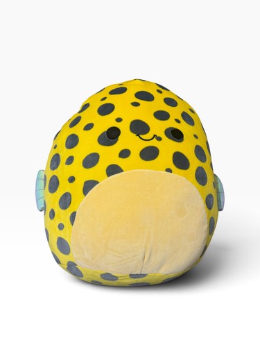 Squishmallows dayton the - 14",