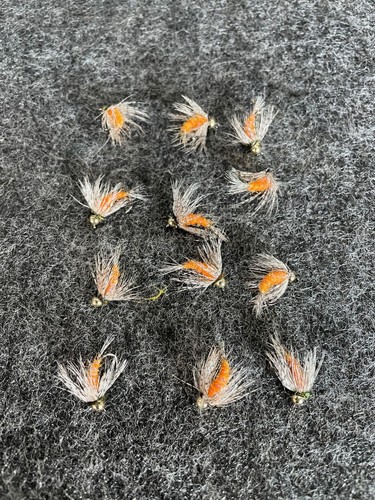 Mfc bird prey fly - mfc,
