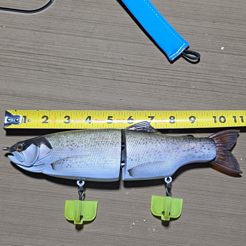 Hiroshima trout new out - trout.,