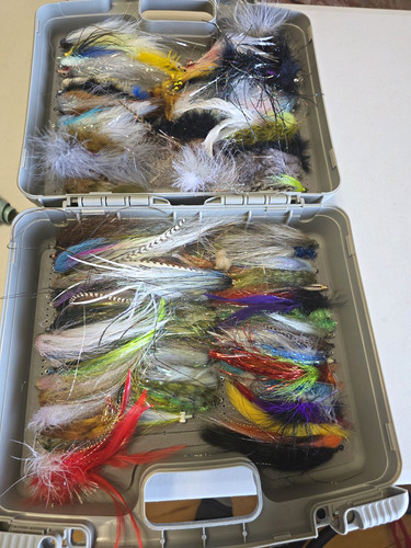 Boat box with baitfish - box,